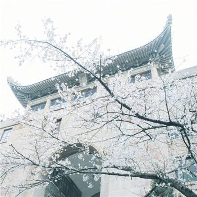 北京三山五园传统地名保护名录发布 圆明园等421处列入